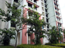 Blk 319A Anchorvale Drive (S)541319 #295142